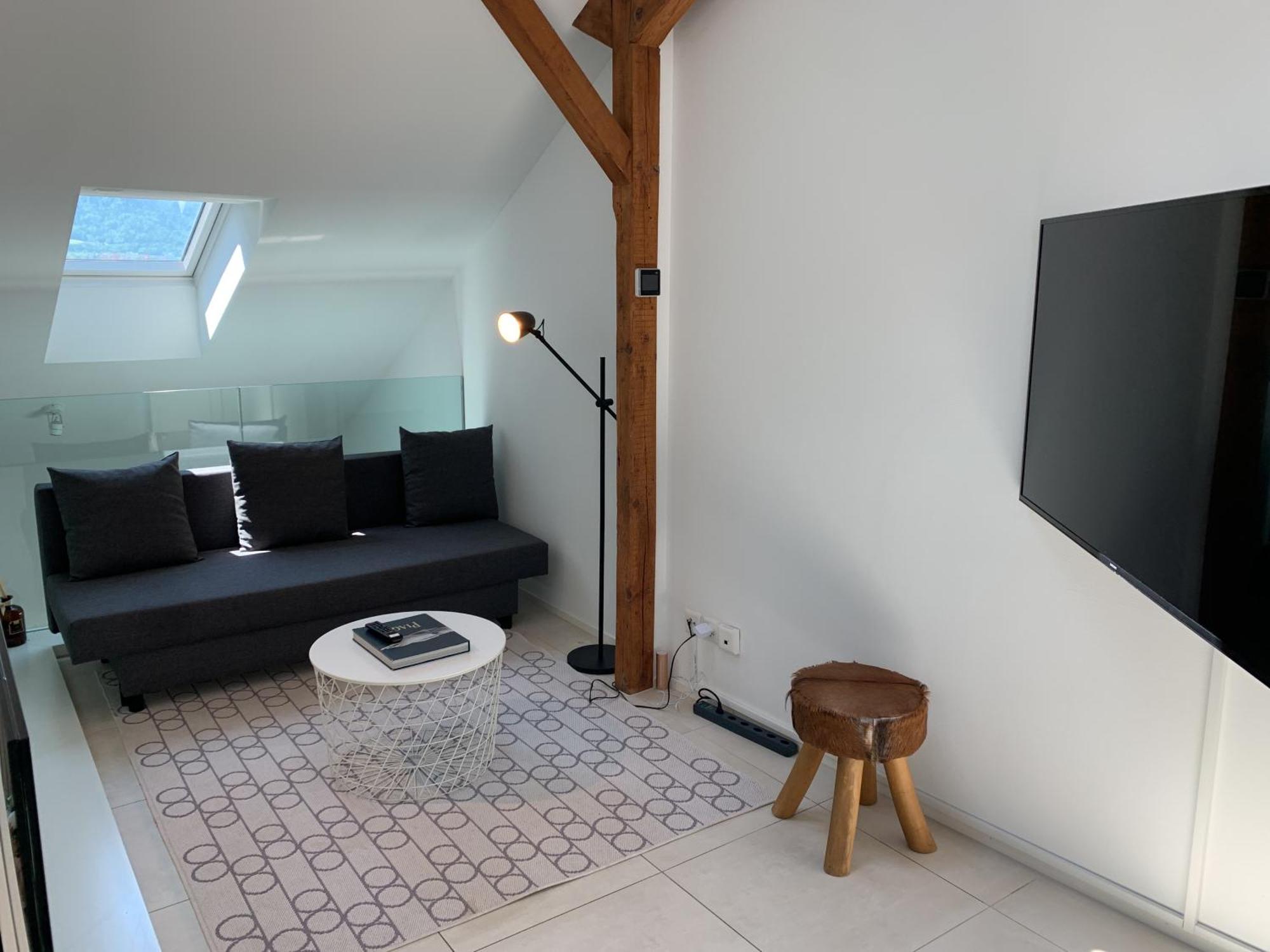 Zuerich Niederdorf - Grossmuenster Apartment Phòng bức ảnh